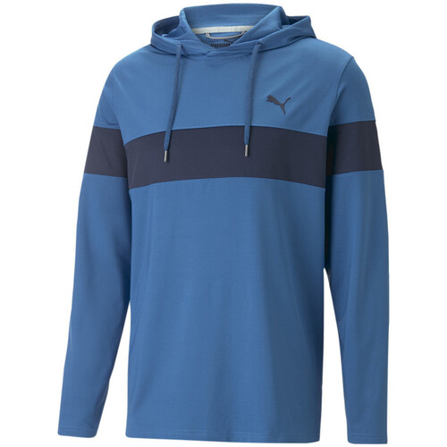 Vêtements Homme Sweats Puma 620252-04 Bleu