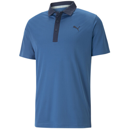 Vêtements Homme T-shirts & Polos Puma 599118-30 Bleu