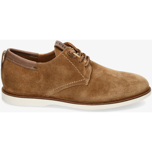 Chaussures Homme Pochettes / Sacoches Cetti C-1351 Marron