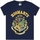 Vêtements Garçon T-shirts manches courtes Harry Potter NS7817 Bleu