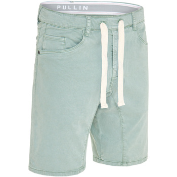 Vêtements Homme Shorts / Bermudas Pullin Short  DENING SHORT EPIC 2 WATER Vert