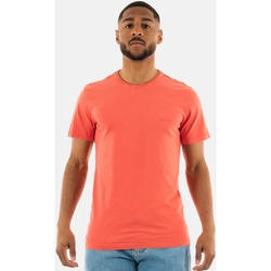 Vêtements Homme T-shirts manches courtes Salsa 21008014 Orange