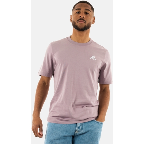 Vêtements Homme T-shirts manches courtes adidas Originals is1316 Rose