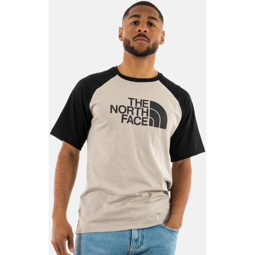 Vêtements Homme T-shirts manches courtes The North Face 0a87n7 Gris