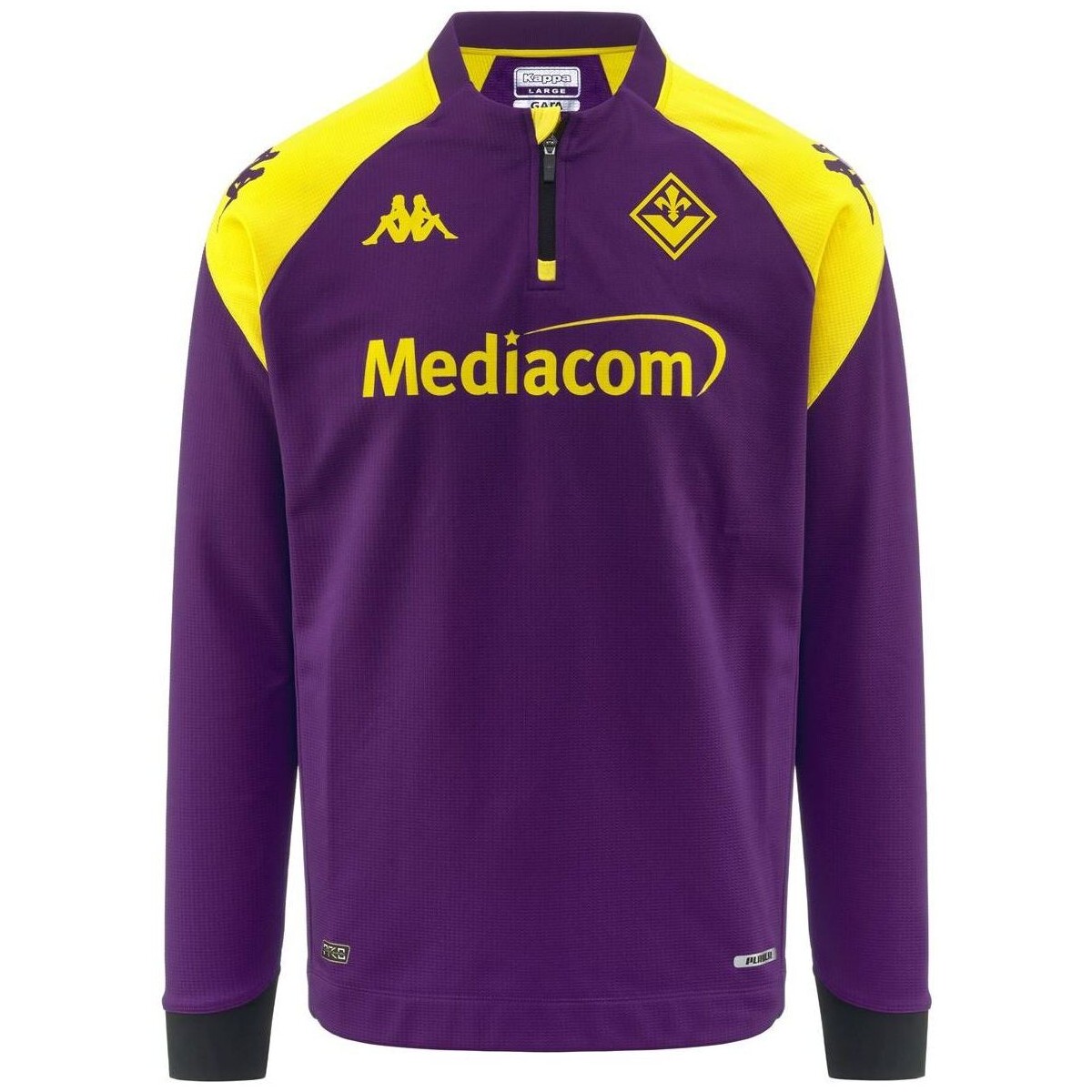 Vêtements Homme Sweats Kappa Sweatshirt Ablas Pro 7 ACF Fiorentina 23/24 Violet