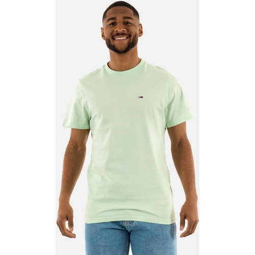 Vêtements Homme T-shirts manches courtes Tommy Jeans dm0dm09598 Vert