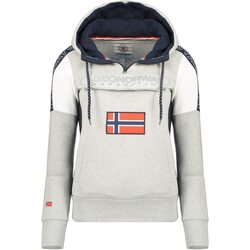 Vêtements Femme Sweats Geographical Norway FAGO Gris