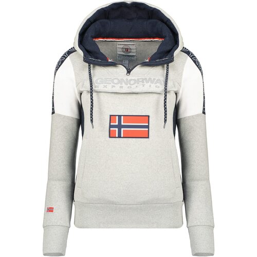 Vêtements Femme Sweats Geographical Norway FAGO Gris