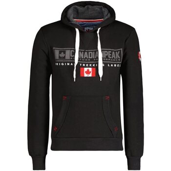 Vêtements Homme Sweats Geographical Norway GASIKEAK Gris