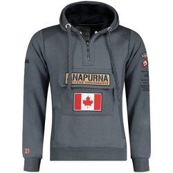 Vêtements Homme Sweats Geographical Norway GYMANA Gris
