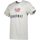 Vêtements Homme T-shirts & Polos Geographical Norway JASON Gris
