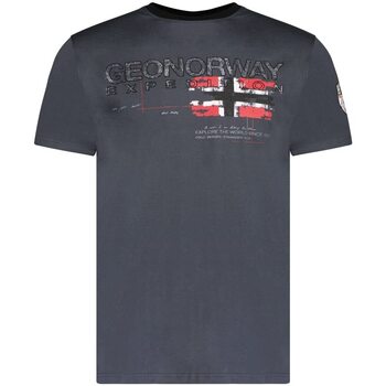Vêtements Homme T-shirts & Polos Geographical Norway JISLAND Gris