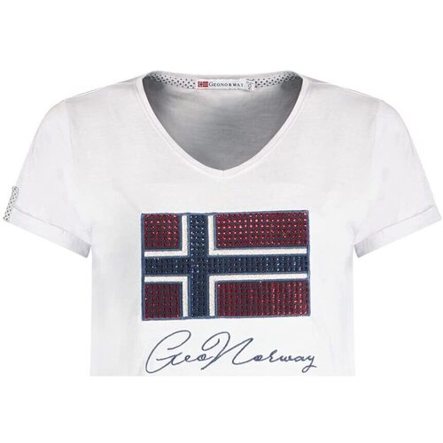 Vêtements Femme T-shirts & Polos Geographical Norway JOISETTE Gris