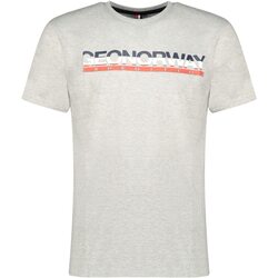 Vêtements Homme T-shirts & Polos Geographical Norway JORDO Gris