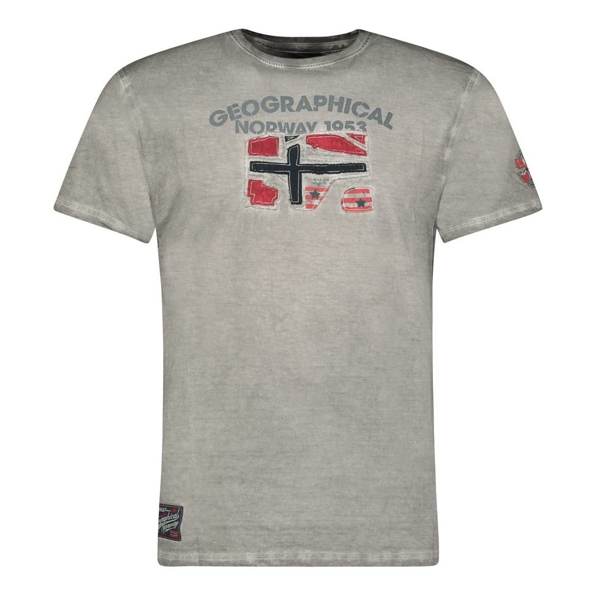 Vêtements Homme T-shirts manches courtes Geographical Norway JOTZ Gris