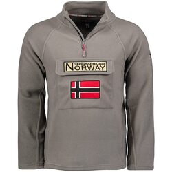 Vêtements Homme Polaires Geographical Norway TYMCLASS Gris
