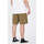 Vêtements Homme Shorts / Bermudas Volcom Pantalón Corto  Outer Spaced 21 - Old Mill Marron