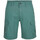 Vêtements Homme Shorts / Bermudas O'neill N2700000-16013 Vert