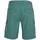 Vêtements Homme Shorts / Bermudas O'neill N2700000-16013 Vert