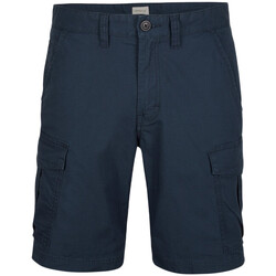 Vêtements Homme Shorts / Bermudas O'neill N2700000-5056 Bleu