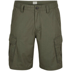Vêtements Homme Shorts / Bermudas O'neill N2700000-6530 Vert