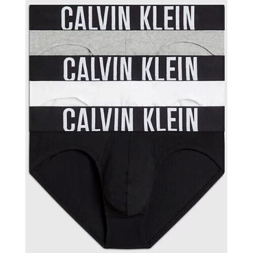 Sous-vêtements Homme Caleçons Calvin Klein Jaqueline Jeans 000NB3607AMP1 HIP BRIEF 3PK Multicolore