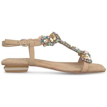 Chaussures Femme Sandales et Nu-pieds Stones and Bones V240773 Marron