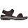 Chaussures Homme Sandales et Nu-pieds Skechers BASKETS  205112 Marron