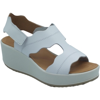 Chaussures Femme Sandales et Nu-pieds IgI&CO 5668411 Vitello Blanc