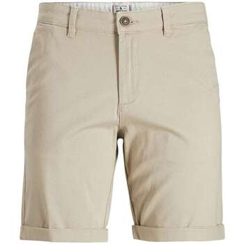 Vêtements Garçon Shorts / Bermudas Fleece Shuttle Pants 161342VTPE24 Beige