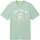Vêtements Homme T-shirts manches courtes Tom Tailor 162733VTPE24 Vert