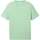 Vêtements Homme T-shirts manches courtes Tom Tailor 162737VTPE24 Vert