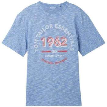 Vêtements Homme puffy sleeve logo sweatshirt Tom Tailor 162744VTPE24 Bleu