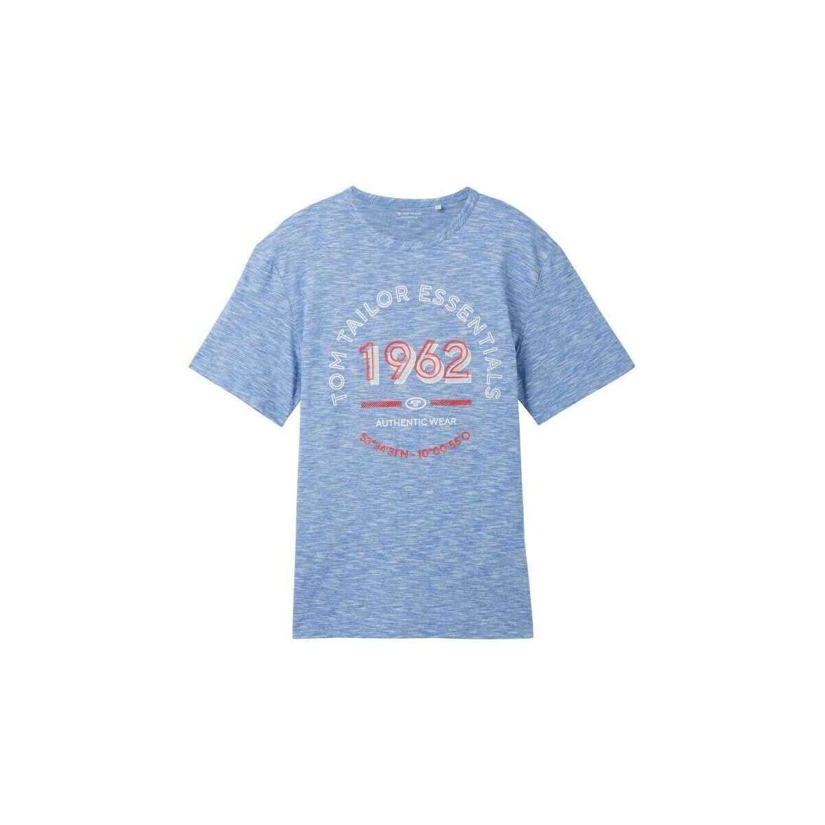 Vêtements Homme T-shirts manches courtes Tom Tailor 162744VTPE24 Bleu