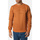 Vêtements Homme Chemises manches longues Hopenlife Sweat pull col rond manches longues BAYTOWN orange