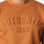 Vêtements Homme Chemises manches longues Hopenlife Sweat pull col rond manches longues BAYTOWN orange