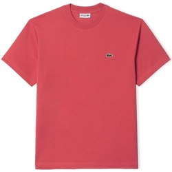 Vêtements Homme T-shirts & Polos Lacoste Classic Fit T-Shirt - Rose ZV9 Rose