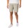 Vêtements Homme Shorts / Bermudas Tommy Jeans Short chino Scanton Gris