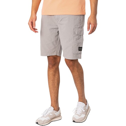 Vêtements Homme Ruffle Shorts / Bermudas Barbour Short d'équipement Gris
