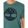 Vêtements Homme T-shirts manches courtes Timberland T-shirt avec logo d'arbre Vert