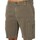 Vêtements Homme Shorts / Bermudas Tommy Jeans Short cargo droit Ethan Vert