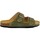 Chaussures Femme Sandales et Nu-pieds Plakton Beta-180010 Kaki