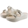 Chaussures Femme Sandales et Nu-pieds Lemon Jelly Slides Giulietta 02 - Warm Grey Beige