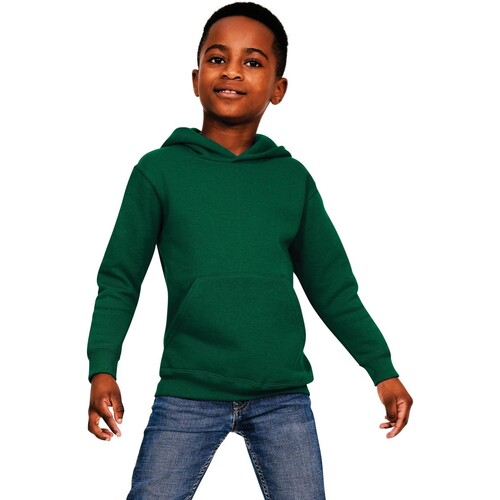 Vêtements Enfant Sweats Casual Classics  Vert