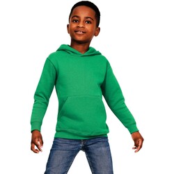 Vêtements Enfant Sweats Casual Classics AB567 Vert