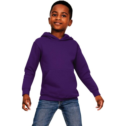 Vêtements Enfant Sweats Casual Classics AB567 Violet