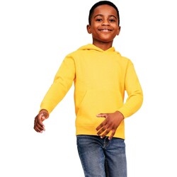 Vêtements Enfant Sweats Casual Classics AB567 Multicolore