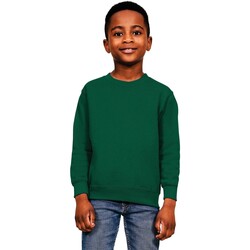 Vêtements Enfant Pulls Casual Classics AB568 Vert