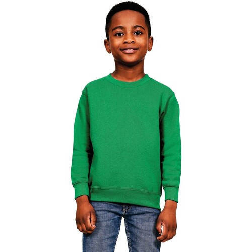 Vêtements Enfant Pulls Casual Classics  Vert