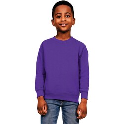 Vêtements Enfant Pulls Casual Classics AB568 Violet